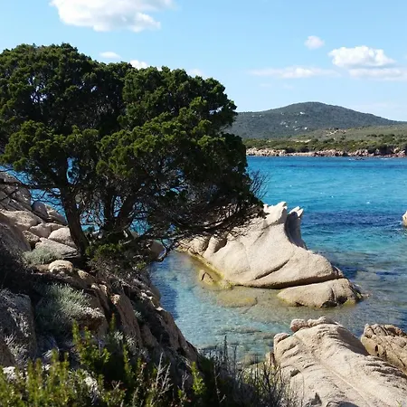 Bord De Sartene (Corsica)